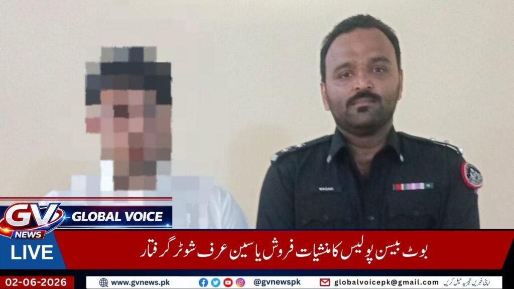 Global Voice News 8